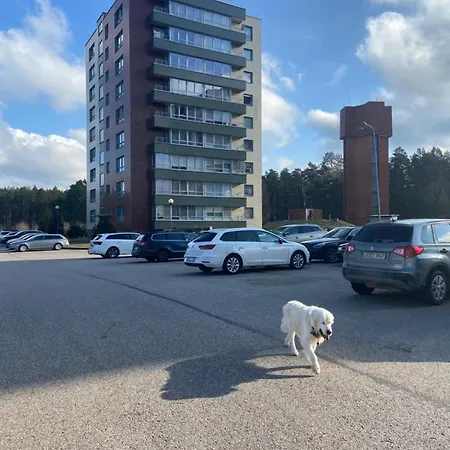 Eliana Ντρουσκινινκάι